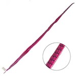 Ringneck Pheasant Tail Feather 30 - 35 Inch (1 pc) Hot Pink