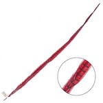 Ringneck Pheasant Tail Feather 30 - 35 Inch (1 pc) Red