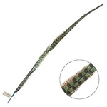 Ringneck Pheasant Tail Feather 28 - 30 Inch (1 pc) Aqua Blue