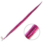 Ringneck Pheasant Tail Feather 28 - 30 Inch (1 pc) Hot Pink