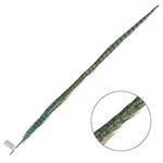Ringneck Pheasant Tail Feather 28 - 30 Inch (1 pc) Jade Green
