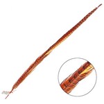 Ringneck Pheasant Tail Feather 28 - 30 Inch (1 pc) Orange