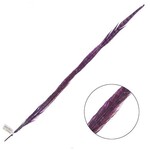 Ringneck Pheasant Tail Feather 28 - 30 Inch (1 pc) Purple
