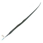 Ringneck Pheasant Tail Feather 26 - 28 Inch (1 pc) Aqua Blue