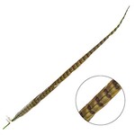 Ringneck Pheasant Tail Feather 26 - 28 Inch (1 pc) Lime Green