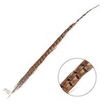 Ringneck Pheasant Tail Feather 26 - 28 Inch (1 pc) Natural