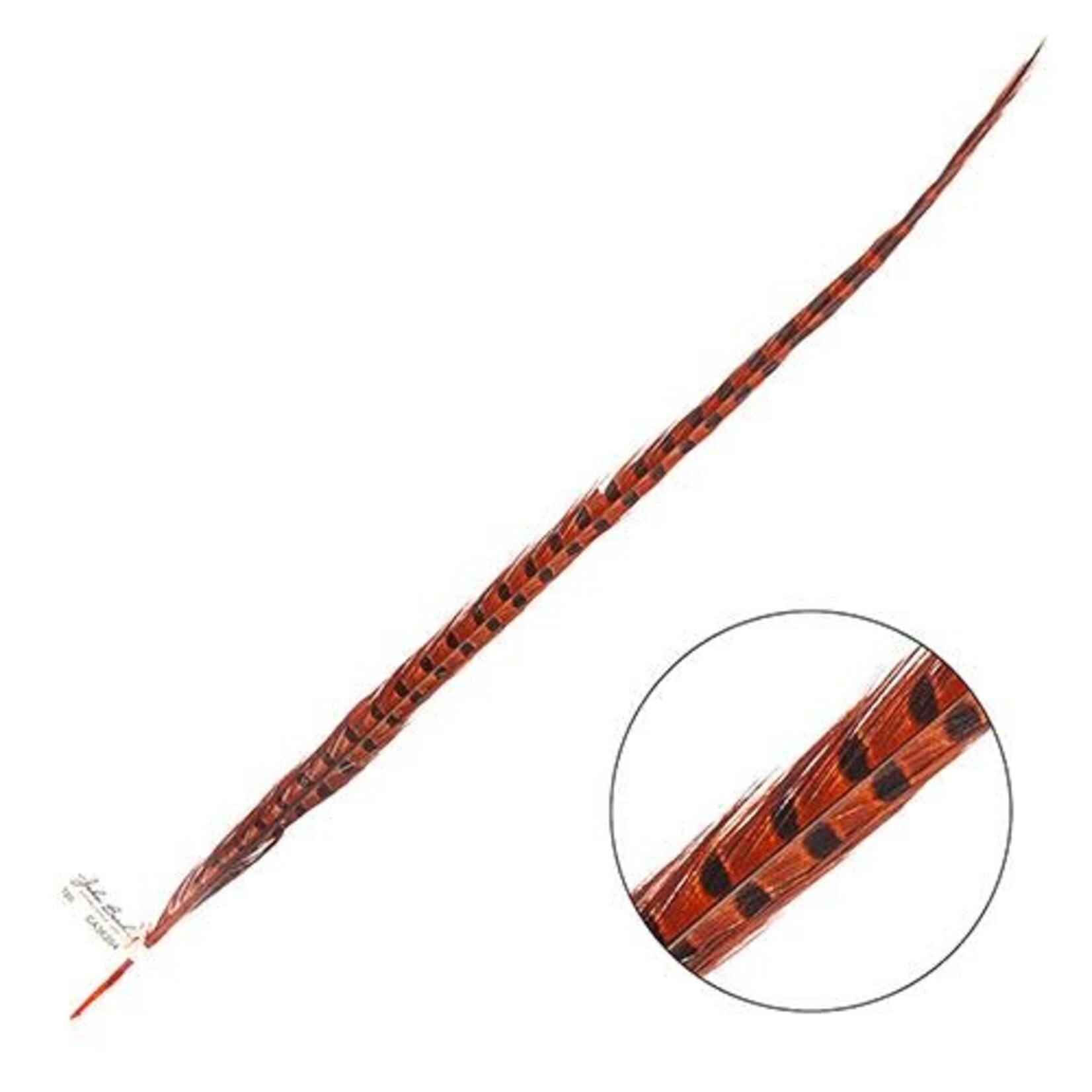 Ringneck Pheasant Tail Feather 26 - 28 Inch (1 pc) Orange