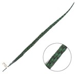 Ringneck Pheasant Tail Feather 26 - 28 Inch (1 pc) Jade Green