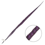 Ringneck Pheasant Tail Feather 26 - 28 Inch (1 pc) Purple