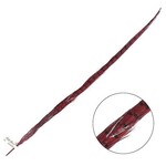 Ringneck Pheasant Tail Feather 26 - 28 Inch (1 pc) Red