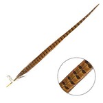 Ringneck Pheasant Tail Feather 26 - 28 Inch (1 pc) Yellow