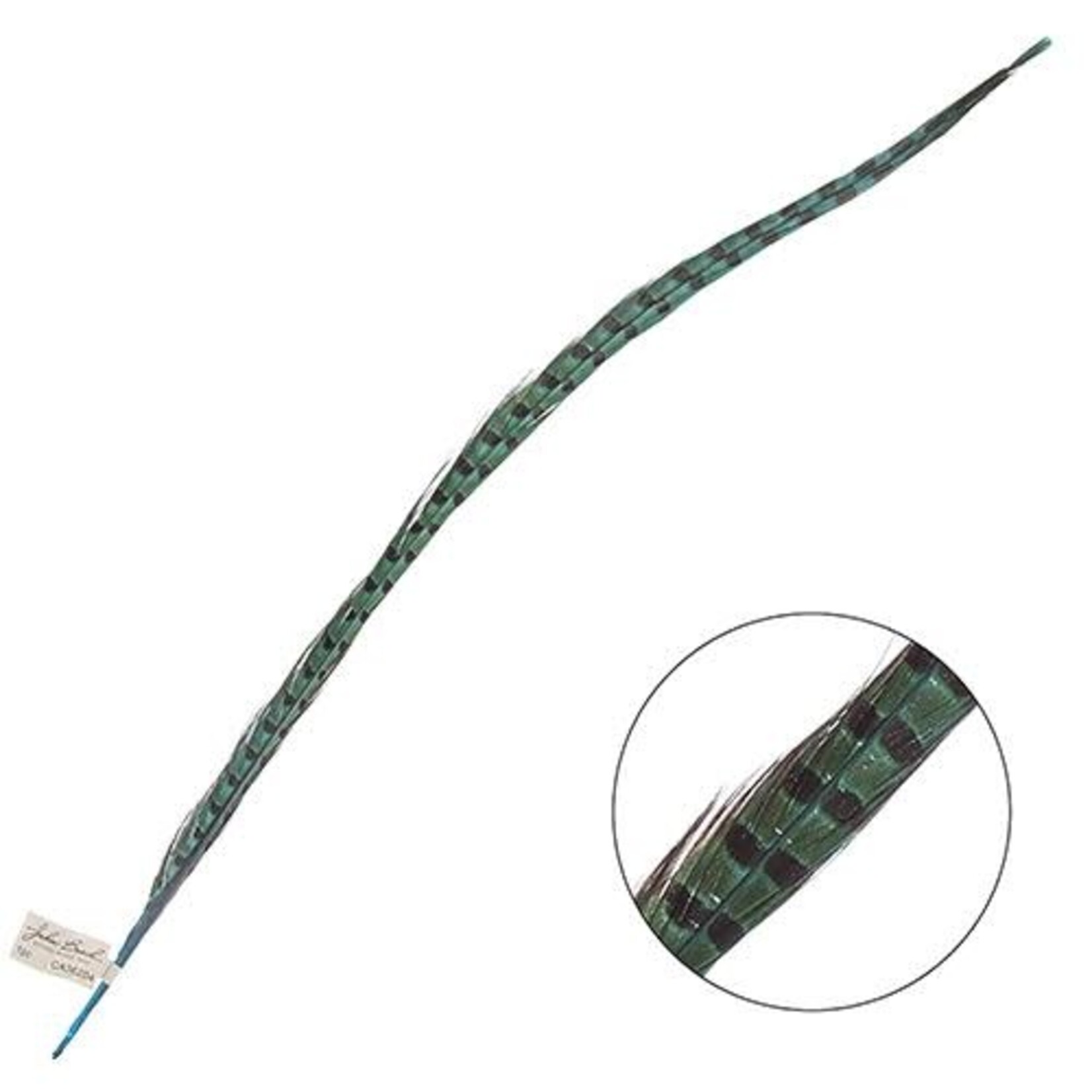 Ringneck Pheasant Tail Feather 24 - 26 Inch (1 pc) Aqua Blue