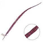 Ringneck Pheasant Tail Feather 24 - 26 Inch (1 pc) Hot Pink