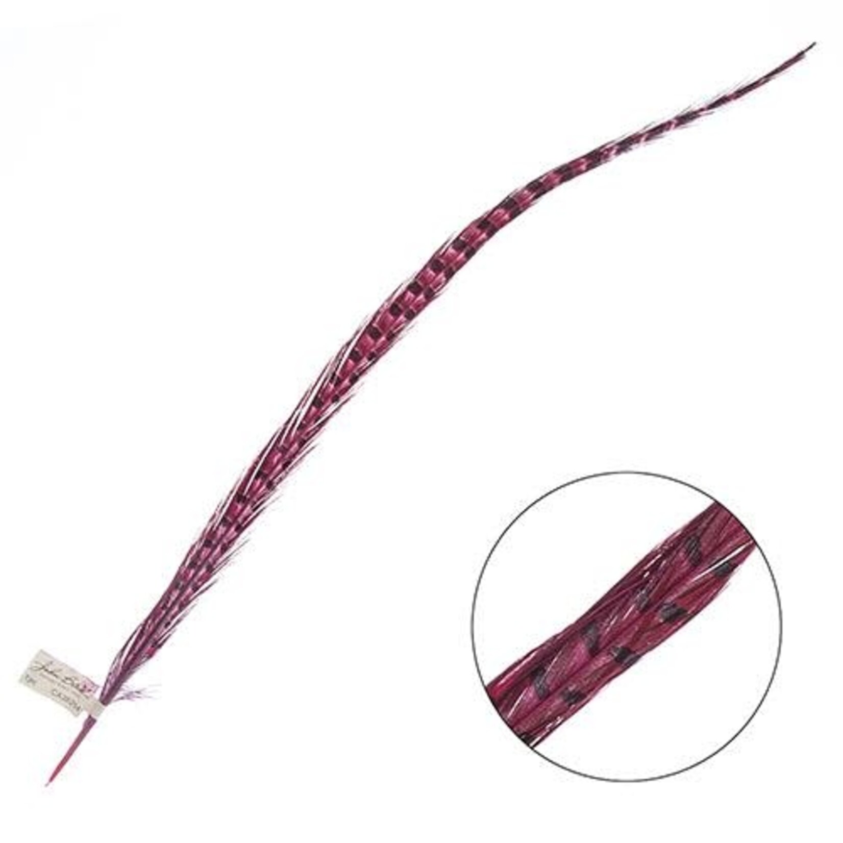 Ringneck Pheasant Tail Feather 24 - 26 Inch (1 pc) Hot Pink