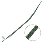Ringneck Pheasant Tail Feather 24 - 26 Inch (1 pc) Jade Green