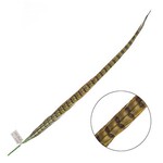 Ringneck Pheasant Tail Feather 24 - 26 Inch (1 pc) Lime Green
