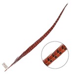 Ringneck Pheasant Tail Feather 24 - 26 Inch (1 pc) Orange
