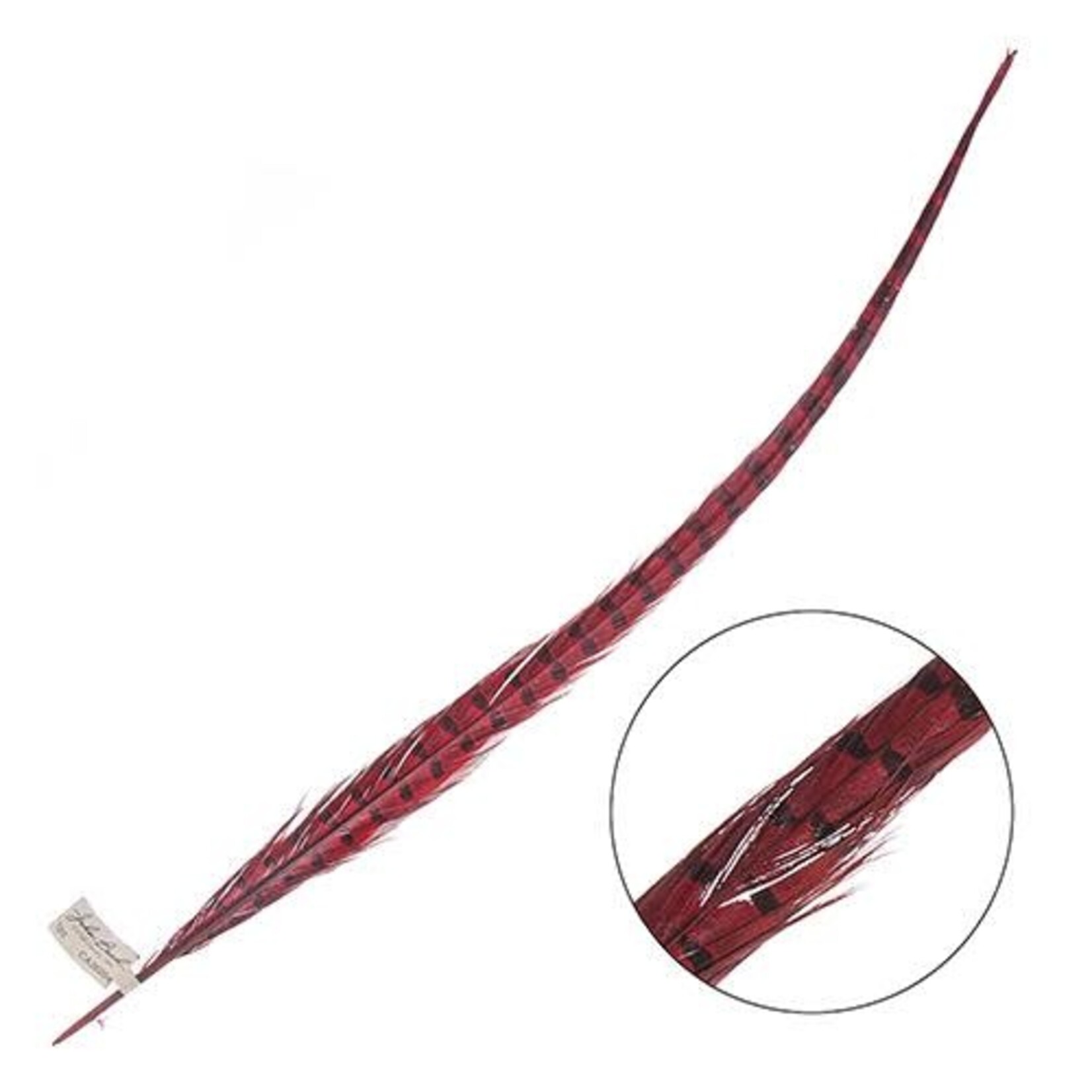 Ringneck Pheasant Tail Feather 24 - 26 Inch (1 pc) Red