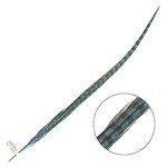 Ringneck Pheasant Tail Feather 24 - 26 Inch (1 pc) Turquoise
