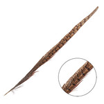 Ringneck Pheasant Tail Feather Natural 12 - 14 Inch (5 pcs)