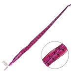 Ringneck Pheasant Tail Feather 22 - 24 Inch (1 pc) Hot Pink