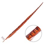 Ringneck Pheasant Tail Feather 22 - 24 Inch (1 pc) Orange