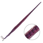 Ringneck Pheasant Tail Feather 22 - 24 Inch (1 pc) Purple