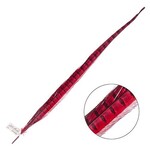 Ringneck Pheasant Tail Feather 22 - 24 Inch (1 pc) Red