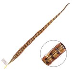 Ringneck Pheasant Tail Feather 22 - 24 Inch (1 pc) Yellow