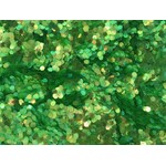 Glitter Coarse 1/2 lb Iridescent Green