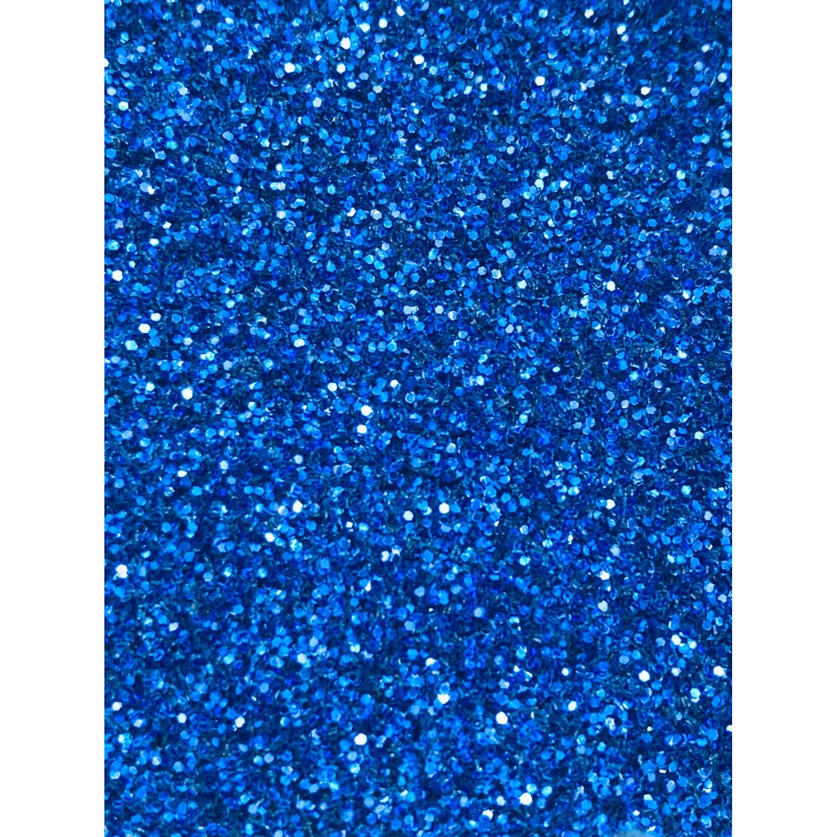 Glitter Fine (0.015 Hex) 2 lbs