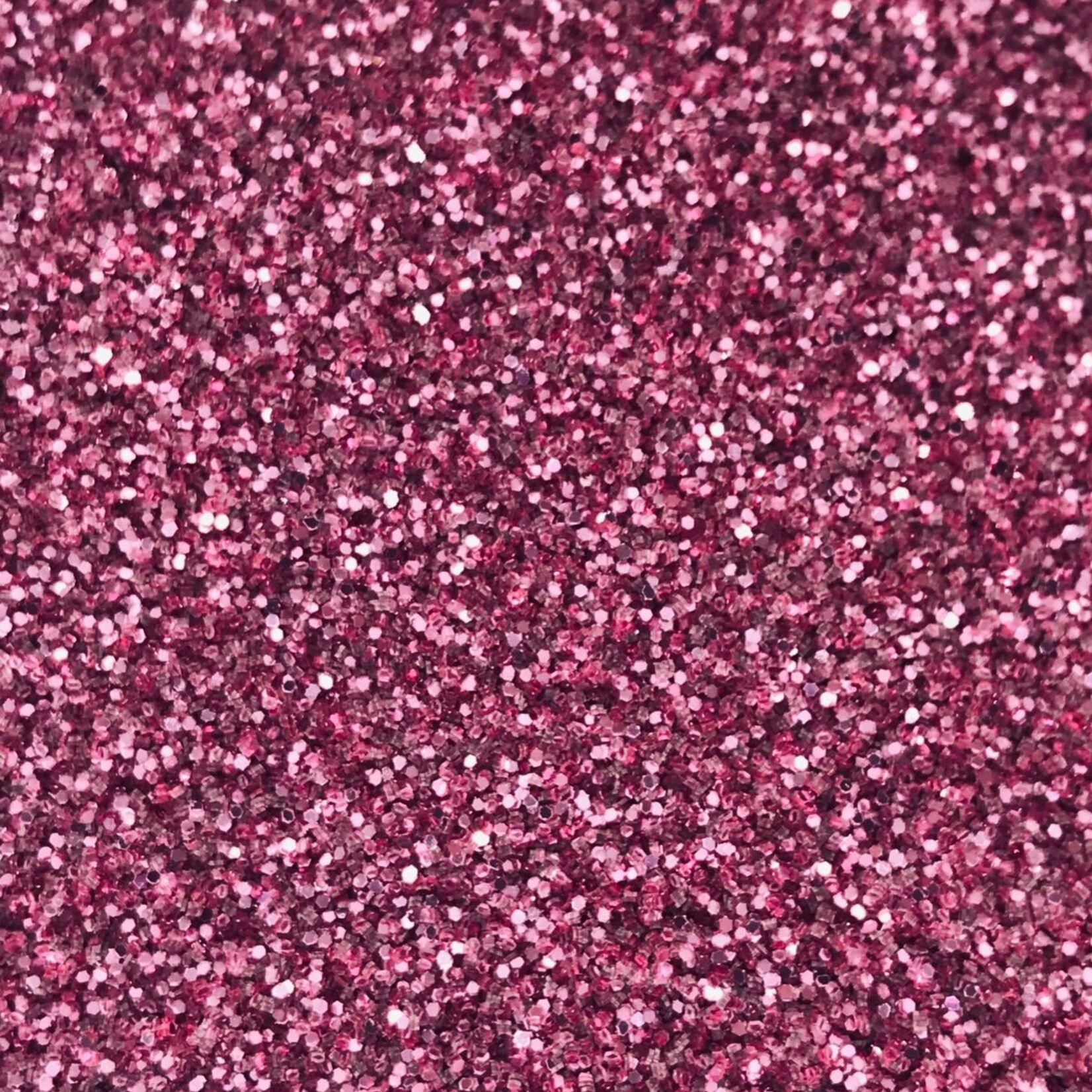 Glitter Fine (0.015 Hex) 1 lb