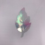 Leaves Assorted (12 Pieces)
