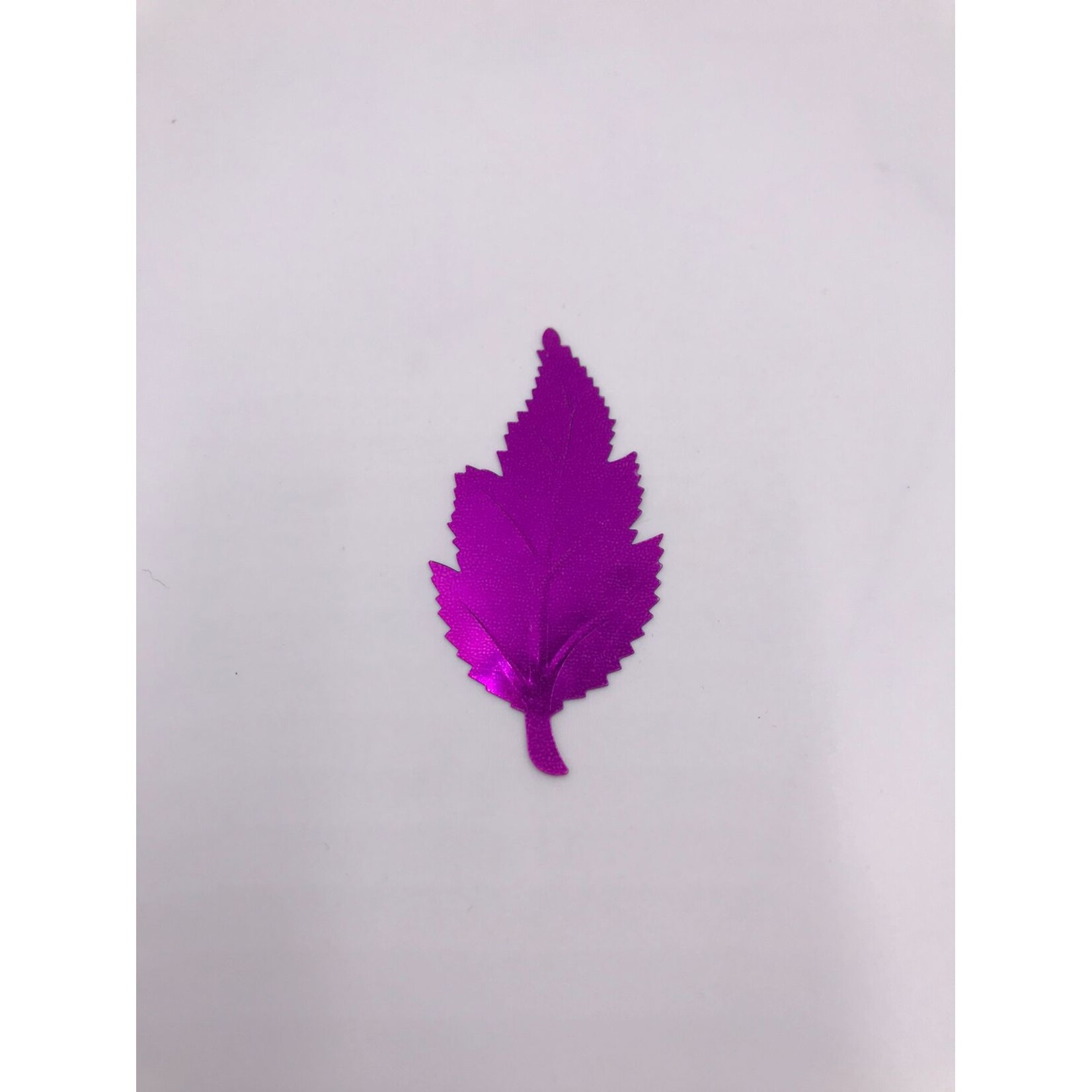 Leaves Assorted (12 Pieces)