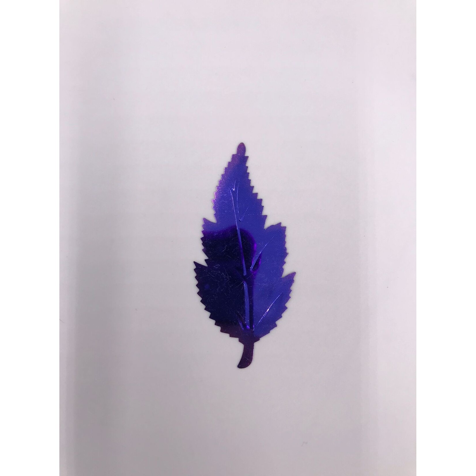 Leaves Assorted (12 Pieces)