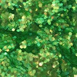 Glitter  Coarse (0.040 Hex) Drum 50 lb Iridescent Green