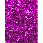 Glitter Coarse (0.040 Hex) 2 lbs