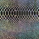 Spandex Holographic Snake Skin Silver