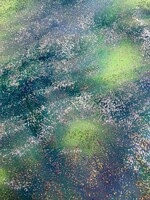 Spandex Holographic Burst Green Blue