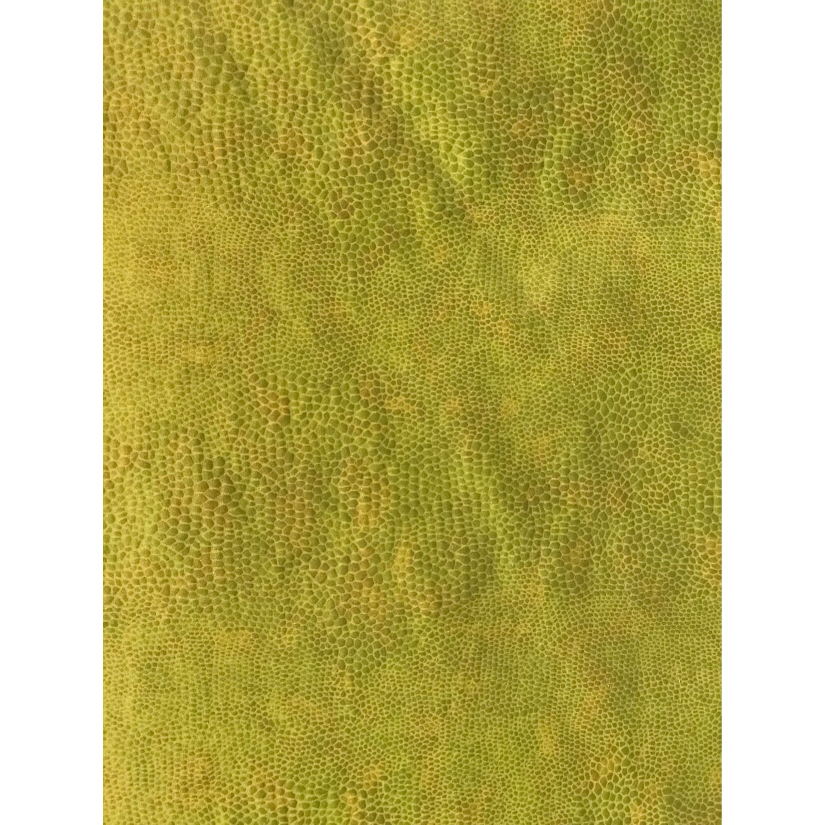 Spandex Holographic Snake Skin Gold