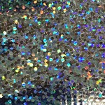 Tricot Lame Sparkle/Dots 45 Inches Silver