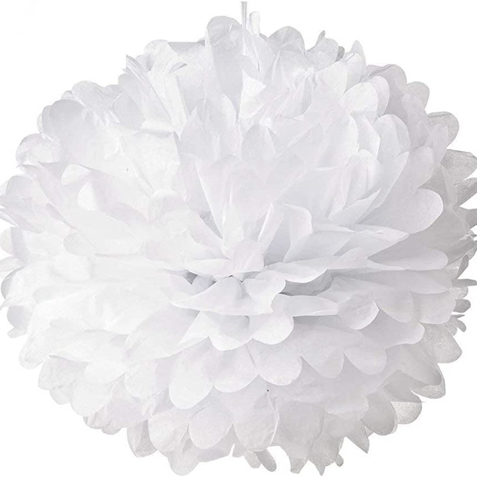 Tissue Pom-Poms 5CT 10" - White