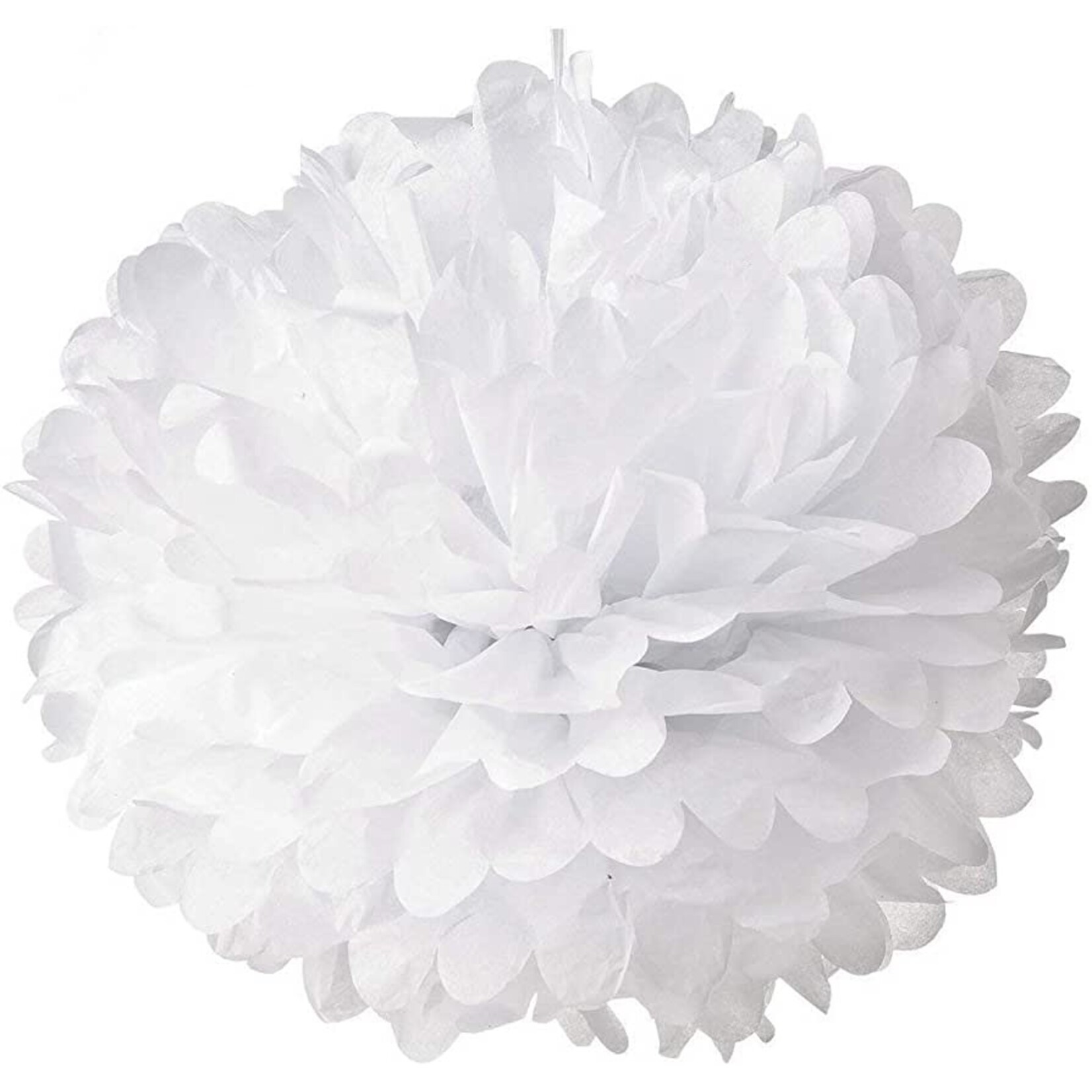Tissue Pom-Poms 5CT 10" - White