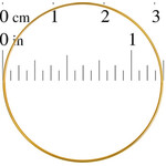 Metal Rings Brass 1.25 inch (Each)