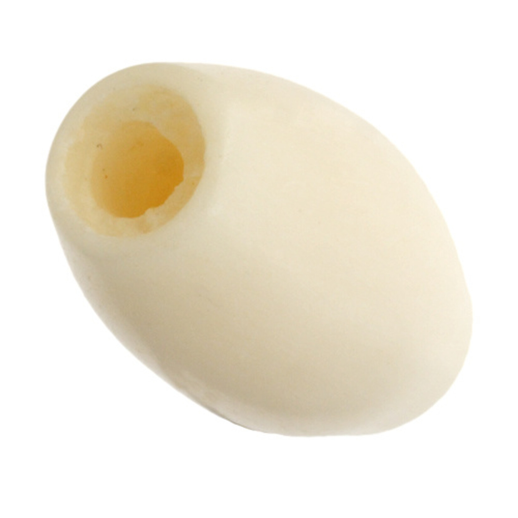 Hairbone Pipe  Worked on Bone  Ivory 0.5 Inches(12 pcs) Oval