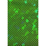 Dot Hologram Nylon Spandex - Lime Green