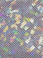 Dot Hologram Nylon Spandex - White/Silver