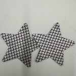 Holographic Pasties - Star