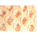 Polyester Spandex 4-Way Mesh - Nude