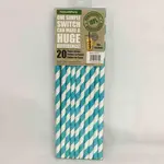 Party Paper Straws 8 Inches 20pcs Turquoise